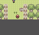 Pokemon Pink Version 2.1 background