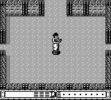 Ikari no Yousai (Japan) background
