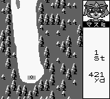 Pocket Golf (Japan) background