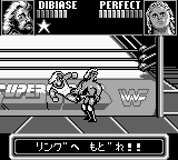 WWF Superstars (Japan) background
