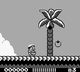 Adventure Island (USA, Europe) background