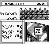 Pocket Love (Japan) background