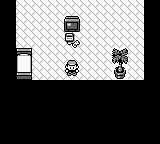 Pocket Monsters Ao (Japan) background