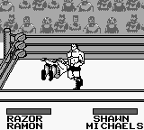 WWF King of the Ring (Japan) background