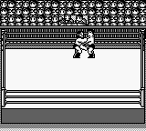 HAL Wrestling (USA) background