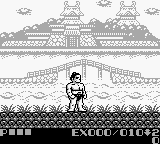 Sumo Fighter (USA) background