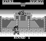 SD Hiryuu no Ken Gaiden 2 (Japan) background