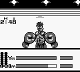 Heavyweight Championship Boxing (USA) background