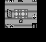 Monster Race (Japan) background