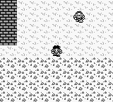 Final Fantasy Legend, The (USA) background