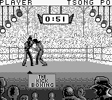 Kick Boxing, The (Japan) background