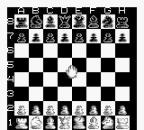 New Chessmaster, The (USA) background