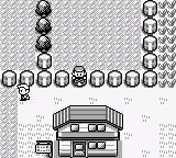 Pokemon TPP Version (Red Anniversary) background