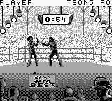 Best of the Best - Championship Karate (Europe) background