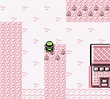 Pokemon Red Gender Selection background