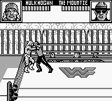 WWF Superstars 2 (Japan) background
