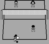 Malibu Beach Volleyball (USA) background