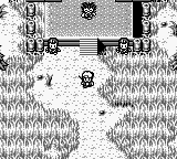 Tsuri Sensei (Japan) background
