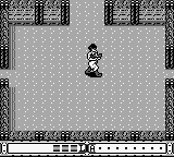 Fortified Zone (USA, Europe) background