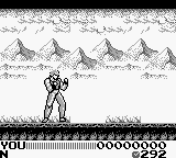 Hiryuu no Ken Gaiden (Japan) background