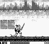Teenage Mutant Ninja Turtles - Fall of the Foot Clan (USA) background