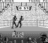 Best of the Best - Championship Karate (USA) background