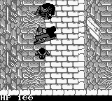 Robin Hood - Prince of Thieves (USA) background