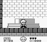 Kid Dracula (USA, Europe) background
