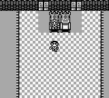Zerd no Densetsu (Japan) background