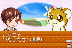Hamster Monogatari Collection (J)(Rising Sun) background