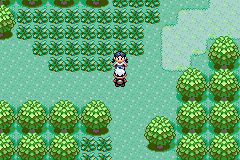 Emerald Uncensored Beta 2 background