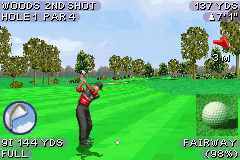 Tiger Woods PGA Tour 2004 (U)(Eurasia) background