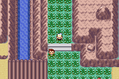 Pokemon Emerald Rogue EX 1.3.2a background
