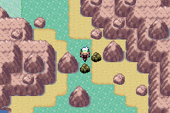 Pokemon Emerald Extreme Randomizer background