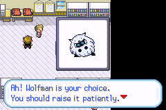 Pokemon Retrieved firered (version 0.951) background
