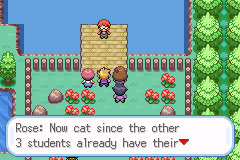 Pokemon: A New Dawn Alpha v0.2 background