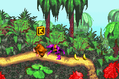 Super Donkey Kong (J)(Rising Sun) background