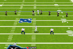 Madden NFL 2005 (U)(Venom) background