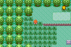 Pokemon sonicmon Advance background