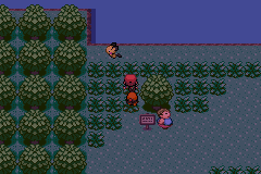 Pokemon Exceeded v10.1 background
