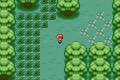 Pokemon My Ass background