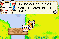 Hamtaro - Rainbow Rescue (E)(Rising Sun) background
