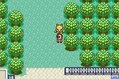 Pokemon Quetzal Alpha 0.6.4 background