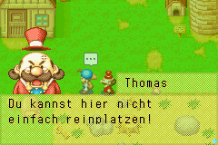 Harvest Moon - Friends of Mineral Town (G)(Rising Sun) background