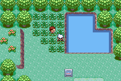 Pokemon Elite Redux v1.6.1 background