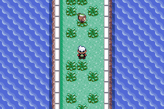 Pokemon Ephemerald v1.0 background