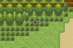 Pokemon Diabound Beta 1.0 background