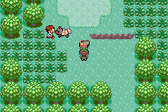 Pokemon Emerald Multiplayer (Alpha 4 V2)  background
