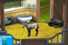 Best Friends - My Horse (E)(Lightforce) background