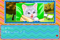 Nakayoshi Pet Advance Series 3 Kawaii Koneko (J)(Chakky) background